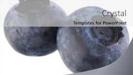  Presentation with blueberry - Presentation theme featuring blueberry-or-bilberry-isolated background and a white colored foreground