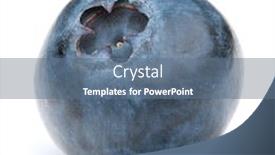  Presentation with blueberry - Beautiful presentation theme featuring blueberry or bilberry or blackberry or blue whortleberry or huckleberry isolated on white background cutout backdrop and a ocean colored foreground