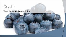  Presentation with blackberry - Cool new PPT theme with blueberry or bilberry or blackberry or blue whortleberry or huckleberry isolated on white background cutout backdrop and a white colored foreground