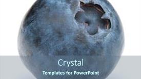  Presentation with blackberry - Presentation theme enhanced with blueberry or bilberry or blackberry background and a ocean colored foreground