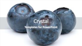  Presentation with white and navy blue - Cool new PPT layouts with blueberry or bilberry or blackberry backdrop and a ocean colored foreground