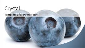  Presentation with blackberry - Slide set featuring blueberry or bilberry or blackberry background and a white colored foreground