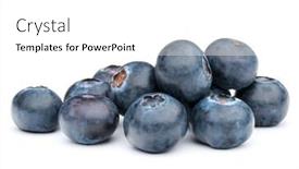  Presentation with blackberry - Slide set enhanced with blueberry or bilberry or blackberry or blue whortleberry or huckleberry isolated on white background cutout background and a white colored foreground