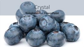  Presentation with blackberry - Cool new PPT theme with blueberry-or-bilberry-or-blackberry backdrop and a seafoam green colored foreground