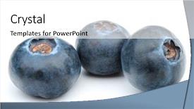  Presentation with blackberry - Slide set enhanced with blue whortleberry or huckleberry isolated background and a white colored foreground