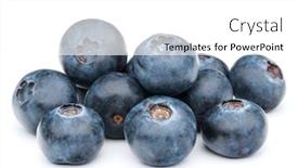  Presentation with blackberry - Colorful presentation theme enhanced with blueberry or bilberry or blackberry or blue whortleberry or huckleberry isolated on white background cutout backdrop and a white colored foreground