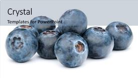  Presentation with blackberry - Presentation theme featuring blueberry or bilberry or blackberry background and a seafoam green colored foreground