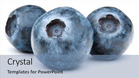  Presentation with blackberry - PPT theme featuring blue whortleberry or huckleberry isolated background and a seafoam green colored foreground