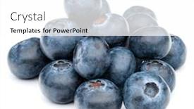  Presentation with blackberry - Colorful slide set enhanced with blueberry or bilberry or blackberry backdrop and a white colored foreground