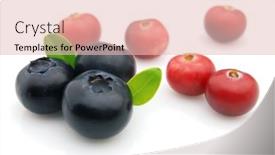  Presentation with blueberry - Colorful PPT layouts enhanced with blueberry with cranberry backdrop and a lemonade colored foreground