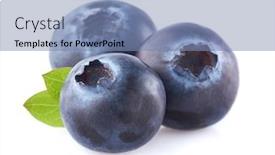  Presentation with blueberry - Colorful slides enhanced with blueberry with leaf backdrop and a teal colored foreground