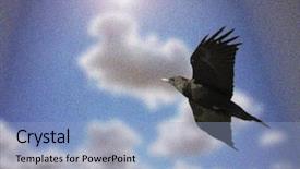  Presentation with bird - Audience pleasing slides consisting of bluebirds - bird flying over blue sky backdrop and a light blue colored foreground