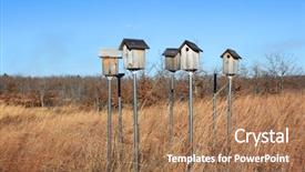  Presentation with tall - Colorful theme enhanced with blue jay - bird houses on tall metal backdrop and a coral colored foreground