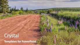  Presentation with growing - Presentation enhanced with bluebonnet - lupins growing wild and flowering background and a coral colored foreground