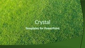  Presentation with green lawn - Amazing PPT theme having bluegrass - golf courses green lawn backdrop and a forest green colored foreground