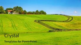  Presentation with farm land black aberdeen angu - Slide set having bluegrass - horse farm with black wooden background and a gold colored foreground