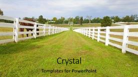  Presentation with white horse - PPT theme enhanced with bluegrass - horse farm with white wooden background and a gold colored foreground