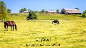  Presentation with farm - Cool new PPT theme with it in hand on blue backdrop and a dark gray colored foreground