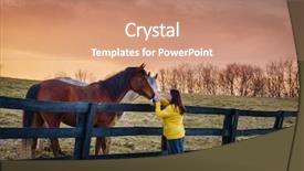  Presentation with horses - Audience pleasing presentation consisting of bluegrass - young woman is petting horses backdrop and a coral colored foreground