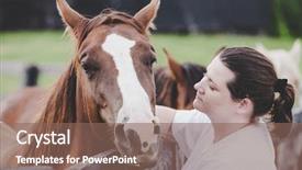  Presentation with kentucky - Theme featuring bluegrass - young woman is petting background and a violet colored foreground