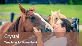  Presentation with kentucky - Slides with bluegrass - young woman is petting background and a tawny brown colored foreground