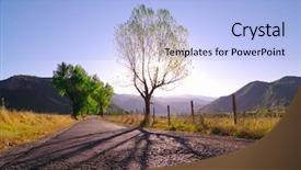  Presentation with shadow - Cool new slide deck with bluish - long shadow of tree backdrop and a light blue colored foreground