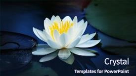  Presentation with lotus flower - Slides having bluish - lotus flower blooming background and a navy blue colored foreground