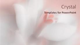  Presentation with soft white flower - Slide set with blur-smoke-white-snowdrop-flower background and a lemonade colored foreground