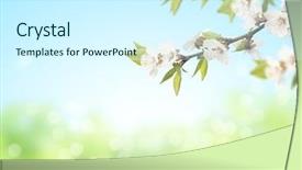  Presentation with abstract spring green - Slides featuring blur spring background of green background and a cool aqua colored foreground