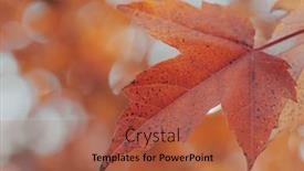  Presentation with blurred bokeh - Presentation theme enhanced with blurred-autumn-forest-background background and a red colored foreground