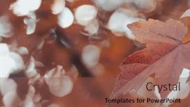  Presentation with blurred bokeh - Presentation design with blurred-autumn-forest-background background and a tawny brown colored foreground