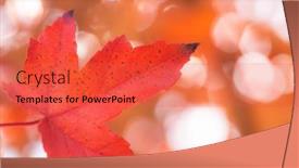  Presentation with blurred bokeh - Slide deck featuring blurred-autumn-forest-background background and a red colored foreground