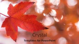  Presentation with blurred bokeh - PPT theme with blurred-autumn-forest-background background and a red colored foreground