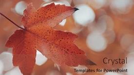  Presentation with blurred bokeh - Presentation theme consisting of blurred-autumn-forest-background background and a red colored foreground