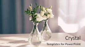  Presentation with blurred flowers - Audience pleasing PPT theme consisting of blurred background - beautiful flowers in glass vases backdrop and a lemonade colored foreground
