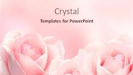  Presentation with pink roses - Slide deck consisting of blurred-background-with-three-roses background and a lemonade colored foreground