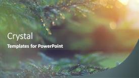  Presentation with sun growing - Audience pleasing slide deck consisting of blurred-garden-backdrop-spruce-growing backdrop and a gray colored foreground