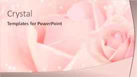  Presentation with pink rose - Presentation theme featuring blurred-horizontal-background-with-rose background and a lemonade colored foreground