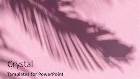  Presentation with palm leaves - Slides featuring blurred-shadow-of-tropical-palm background and a lemonade colored foreground