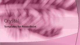  Presentation with palm leaves - PPT layouts having blurred-shadow-of-tropical-palm background and a coral colored foreground