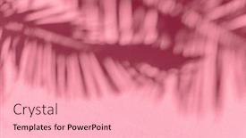  Presentation with palm leaves - Presentation design having blurred-shadow-of-tropical-palm background and a lemonade colored foreground