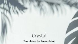  Presentation with palm leaves - Slides with blurred-shadow-of-tropical-palm background and a white colored foreground