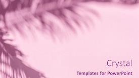  Presentation with palm leaves - Slide set consisting of blurred-shadow-of-tropical-palm background and a pink colored foreground
