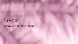  Presentation with palm leaves - PPT theme with blurred-shadow-of-tropical-palm background and a lemonade colored foreground