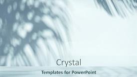  Presentation with palm leaves - Presentation theme featuring blurred-shadow-of-tropical-palm background and a sky blue colored foreground