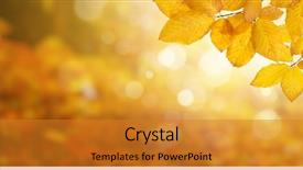  Presentation with fall leaves - PPT theme having blurred trees fall background background and a gold colored foreground
