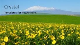  Presentation with blurred flowers - Audience pleasing slides consisting of blurred-yellow-flowers-green-grass backdrop and a light blue colored foreground