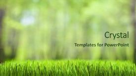  Presentation with green nature - PPT layouts with green grass and forest nature background and a mint green colored foreground