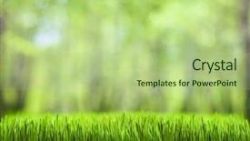  Presentation with abstract spring green - Audience pleasing slide deck consisting of spring green abstract forest natural backdrop and a mint green colored foreground