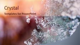  Presentation with gentle - Slide deck enhanced with blurry background tender floral greeting background and a coral colored foreground